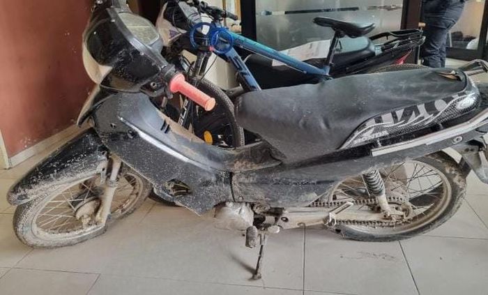 SECUESTRARON PLANTAS DE CANANABIS SATIVA QUE HABÍA SUSTRAÍDO UN JOVEN DESDE UNA VIVIENDA DE ESPERANZA - 1