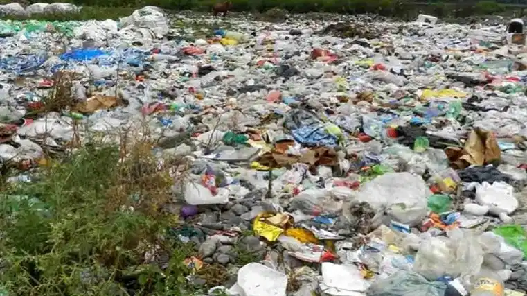 Gestión y tratamiento de los residuos sólidos urbanos