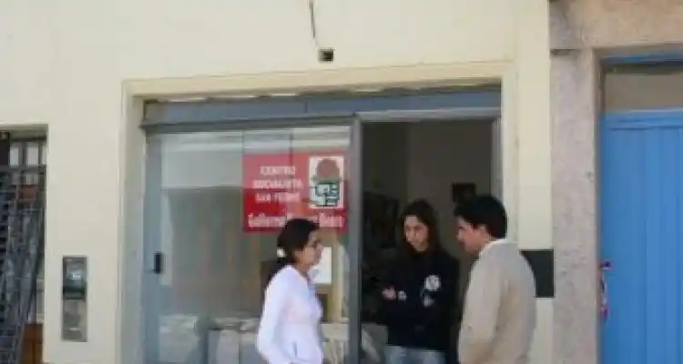 Elecciones socialistas
