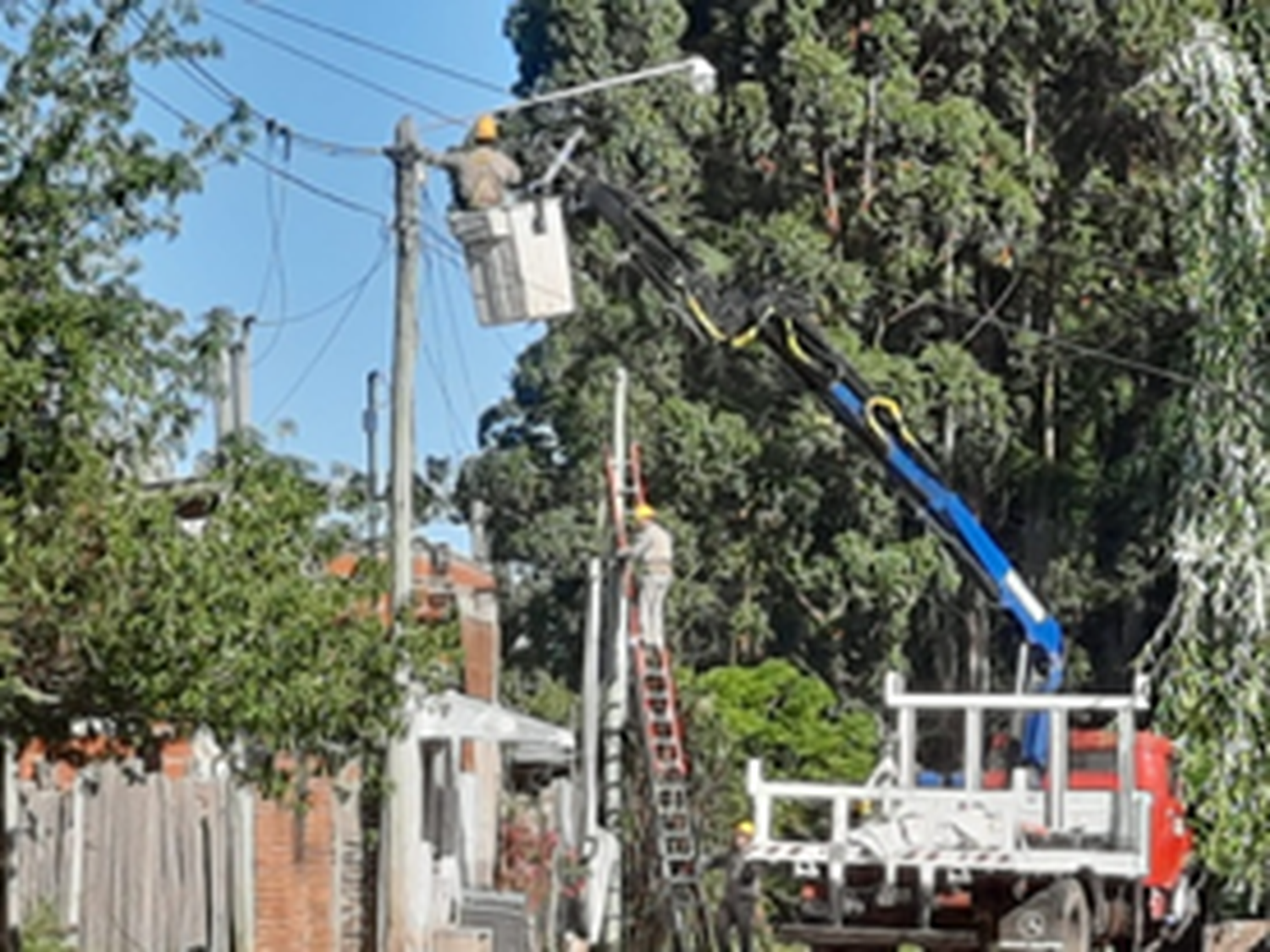 60 actas en operativos antihurto de energía (aserradero, comercios y distintos barrios)