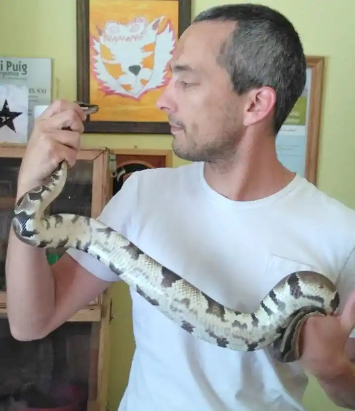 No todas las víboras son un riesgo para el hombre