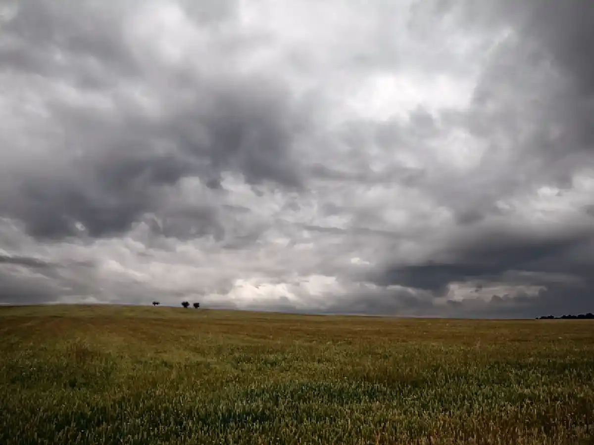 El frío volverá sobre la región pampeana, pero a mediados de la semana que viene regresarán las lluvias a la zona