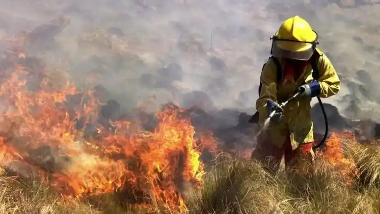 Los bomberos trabajaron durante la noche, pero, a pesar de eso, hay varios focos activos.