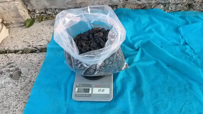 La Policía Federal detuvo a un hombre por narcomenudeo