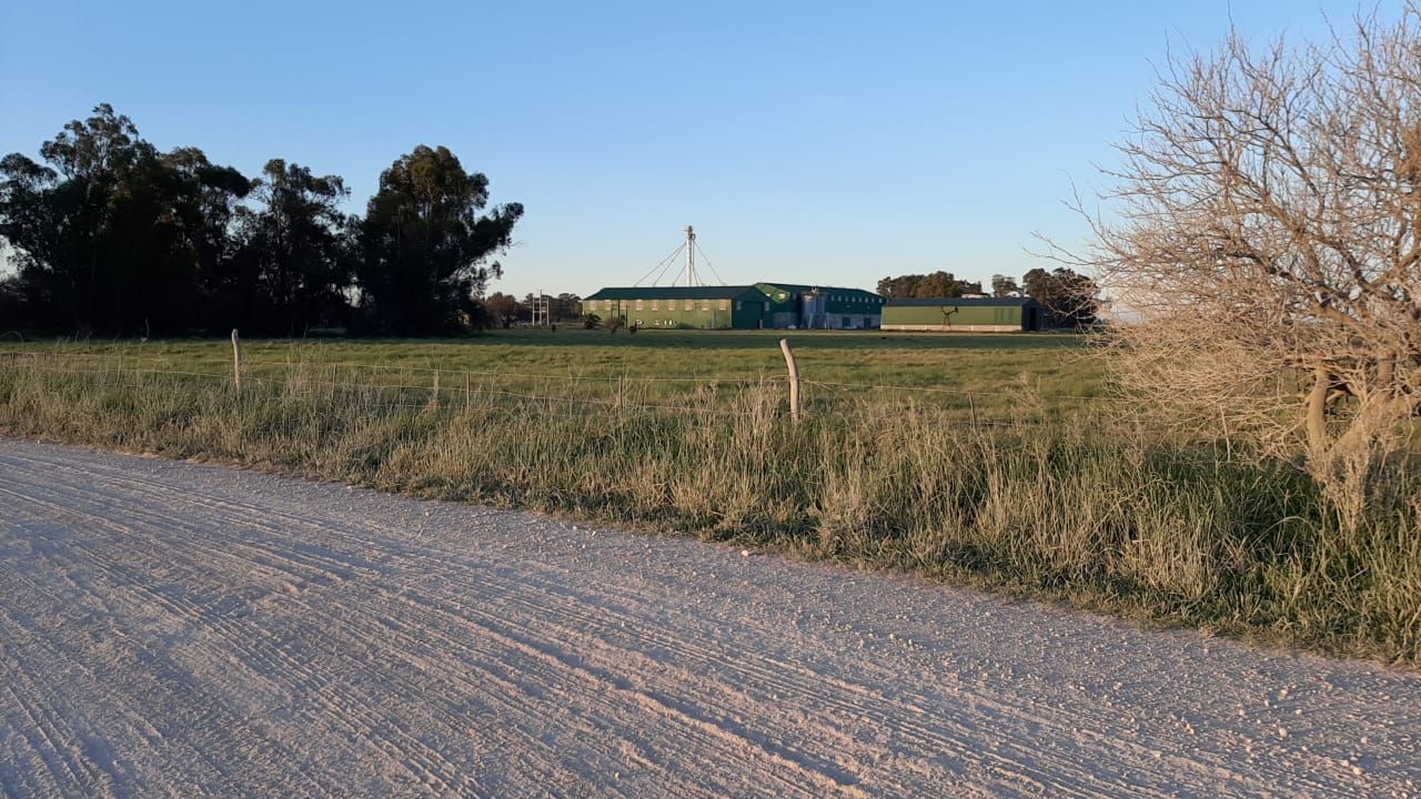 Oriente se prepara para activar su propia zona industrial