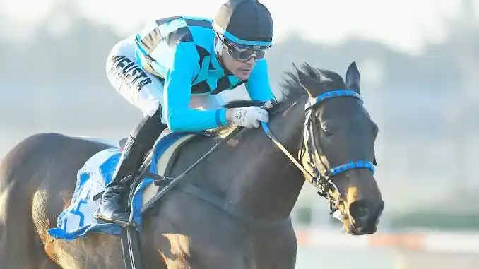 Moon Frank, heroína de la Polla de Potrancas (G1), va por la consagración definitiva en el Gran Premio Selección (G1)