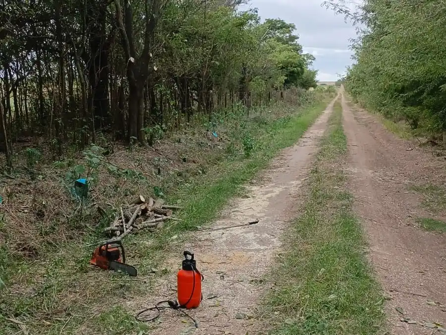 González Calderón avanza con limpieza de banquinas y mejoras en el salón comunitario