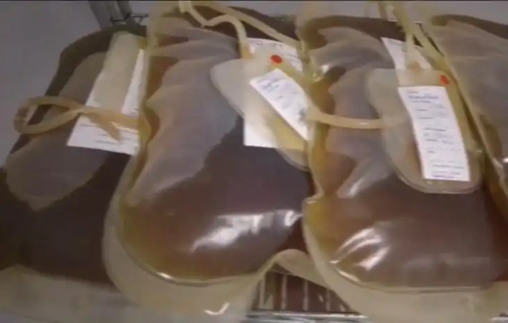 AVANCES CIENTÍFICOS Desarrollan un suero contra la covid-19 a través del plasma de caballos