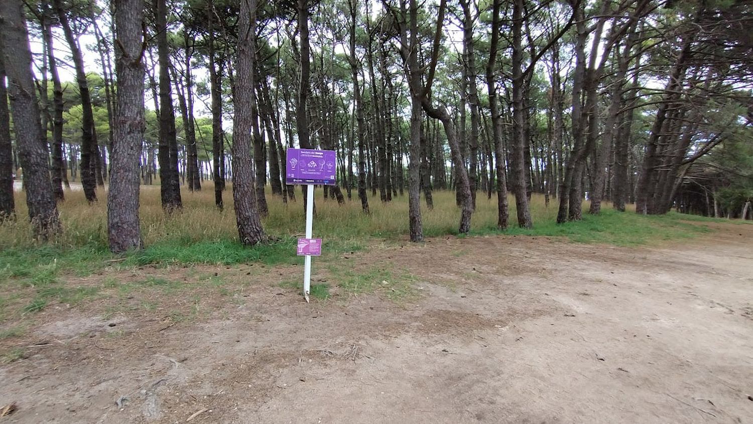 Cartelería. Sendero de hongos en el Parque