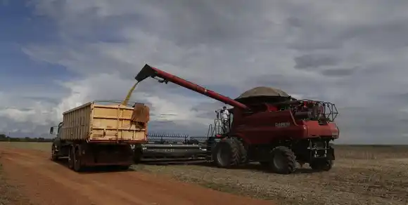 Empresarios alertan por 50 mil empleos en riesgo en Santa Fe