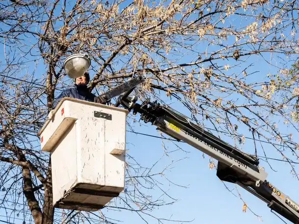 El municipio continúa con la instalación de luminarias led en la ciudad
