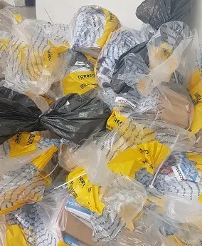 Llegaron al Correo las bolsas con las boletas y restantes elementos
