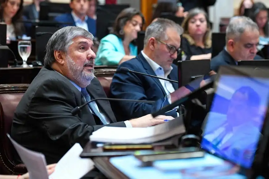 senado