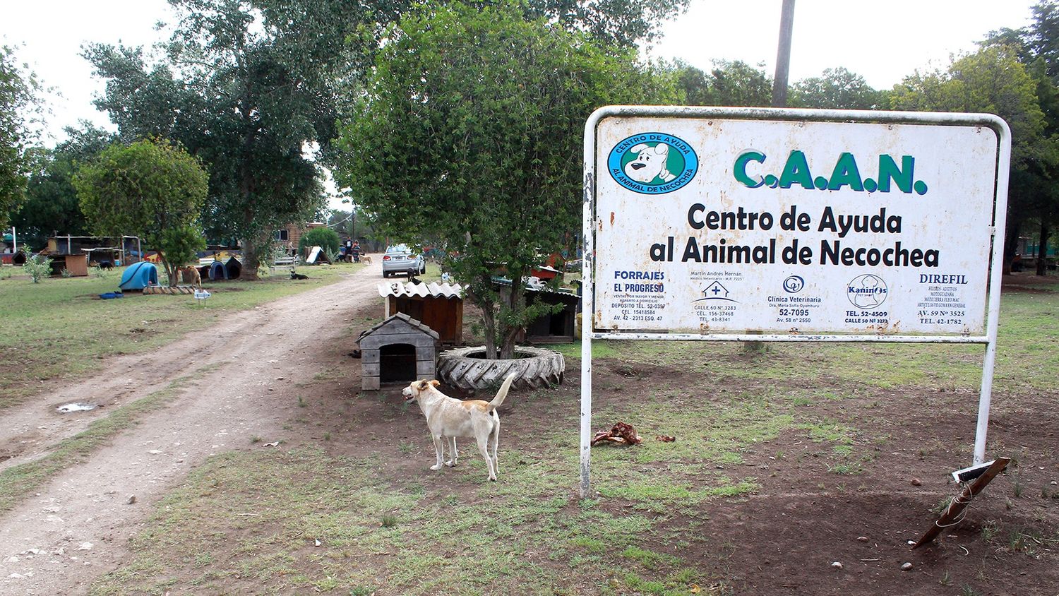 Gran esfuerzo. Efectúa el CAAN para mantenerse en funciones