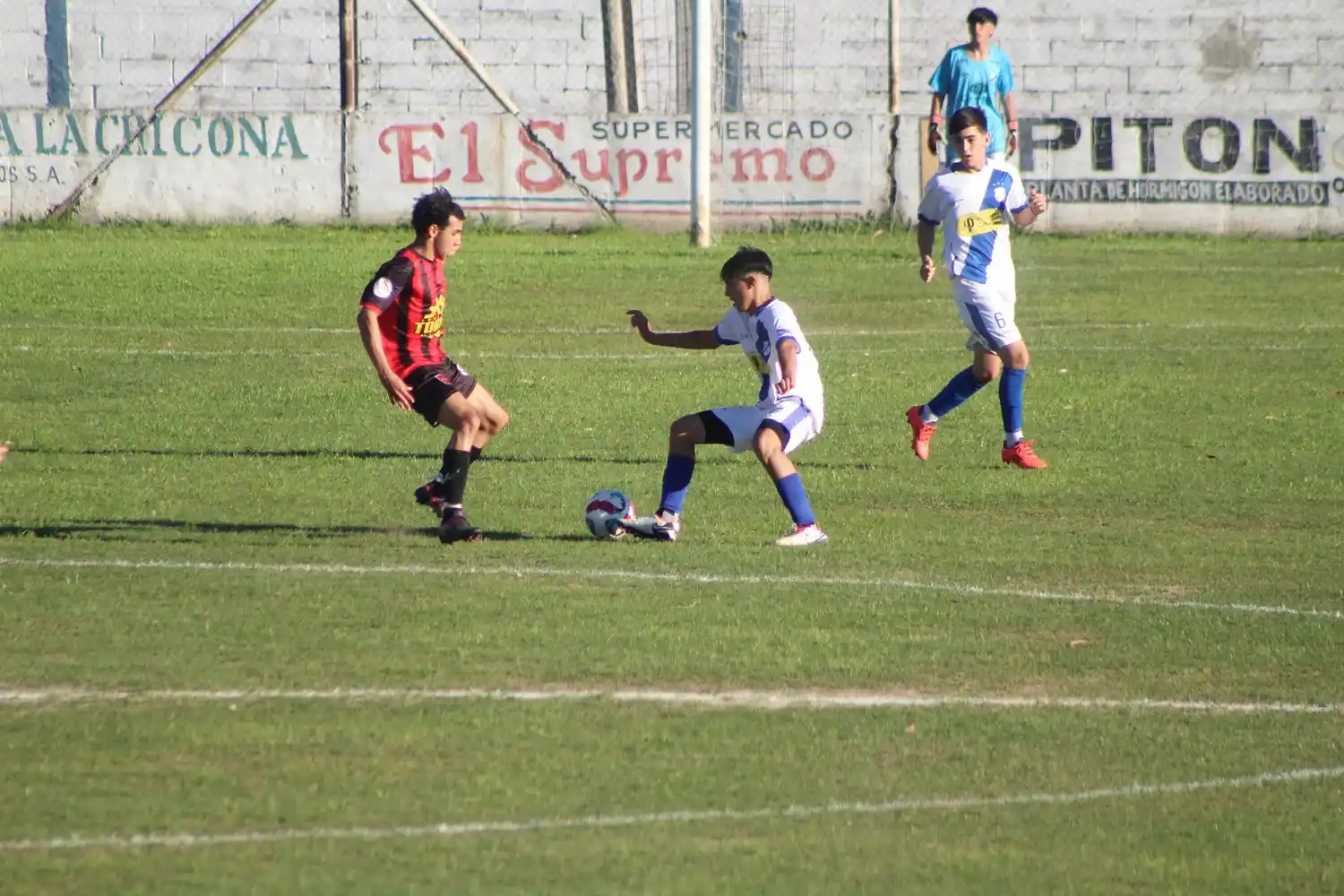 Veinticuatro en carrera