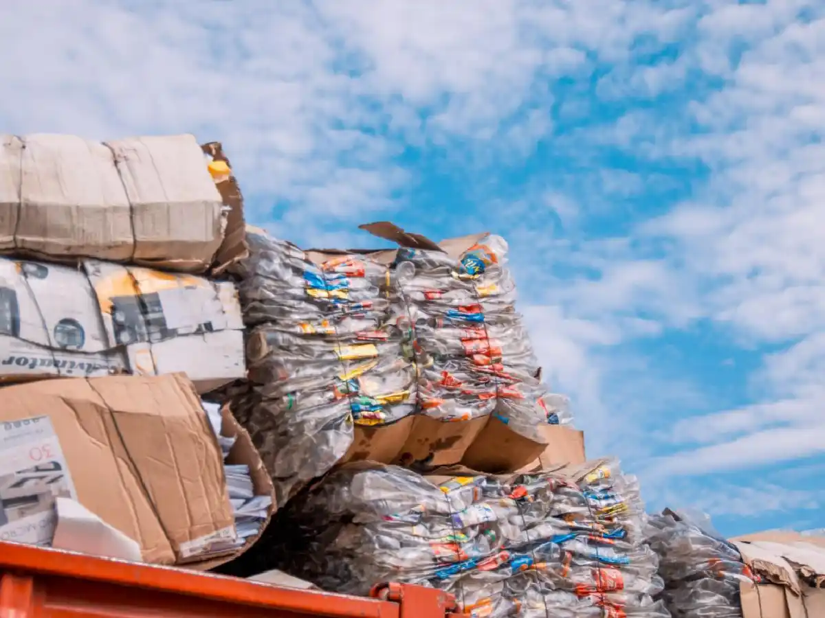 Oficial: promulgan la Ley de Educación Ambiental Integral para todo el país