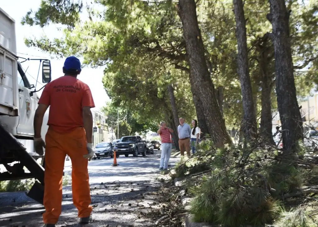 Avanzan las obras integrales sobre la avenida Humberto Seri para mejorar la seguridad vial en Crespo