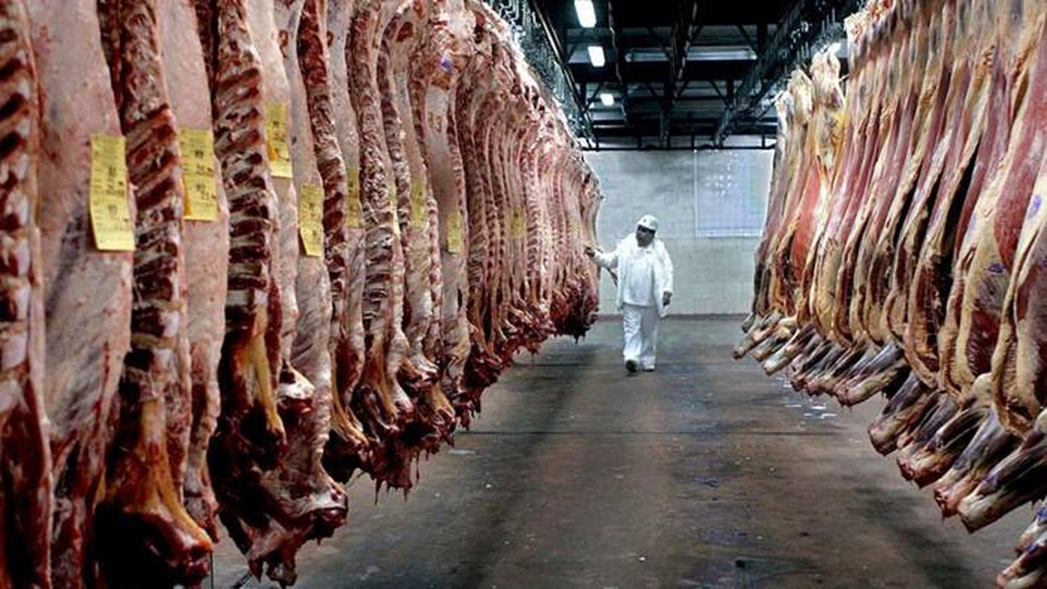 Aprobaron la distribución de 29.500 toneladas de carne para el período 2022-2023