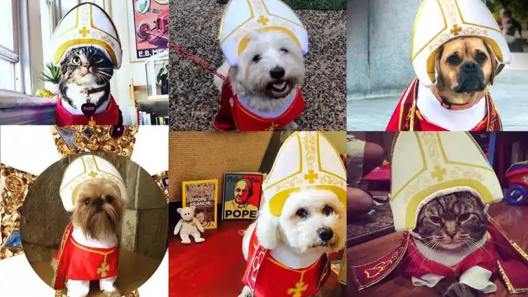 Mascotas “papales”: el furor por Francisco en Estados Unidos también alcanzó a perros y gatos