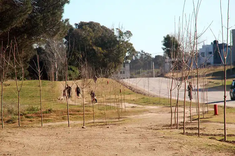 Pavimentarán un tramo de la 58 y extenderán la senda del Parque