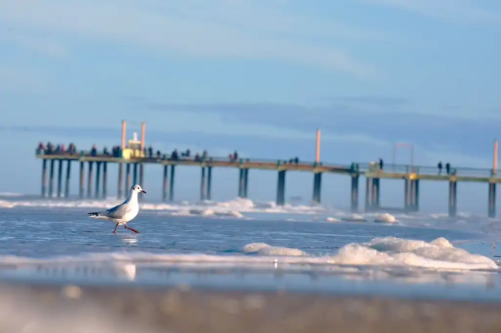 Intendentes bonaerenses le piden al Congreso que el 12 de octubre sea feriado largo
