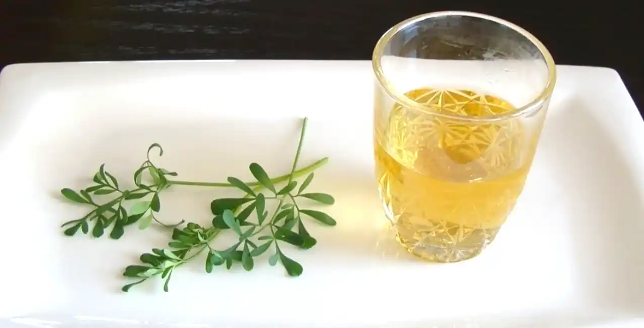 ¿Cómo se prepara la bebida?