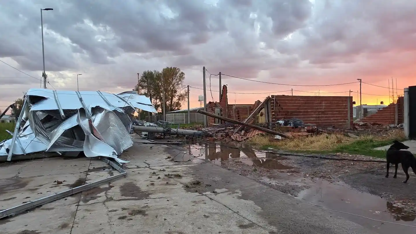 Fuerte y sorpresivo temporal en Carlos Casares: Volaron techos y cayeron árboles