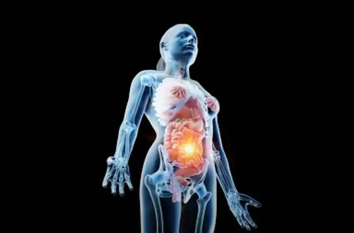 Cuida a tus bacterias y ellas cuidarán de ti 