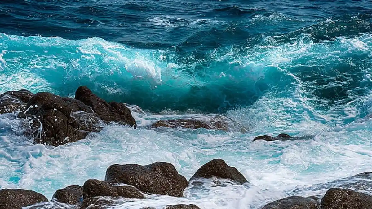 «MARESÍA» o «huele a mar» ¿Qué hay detrás de ese aroma tan particular?