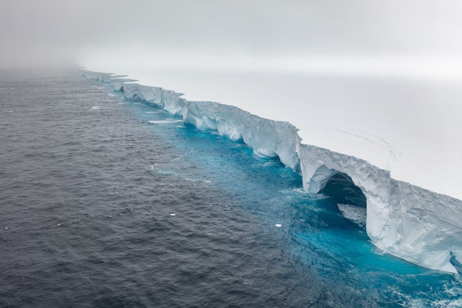 Alertan que el mayor iceberg del mundo se puso en movimiento