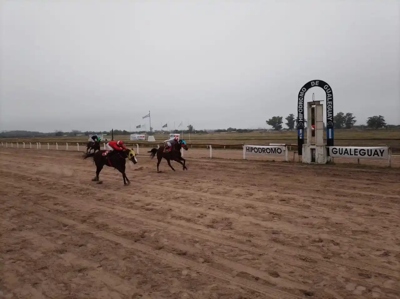 Turf: “El Negro Luis” brilló en el Gran Premio 25 de Mayo