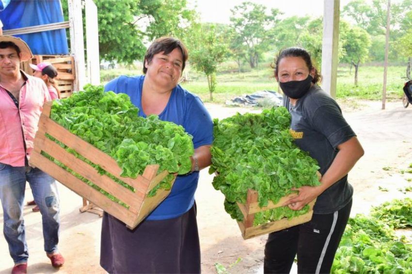 Plan Provincial Alimentario Nutrir: 3 años en la mesa familiar de los formoseños