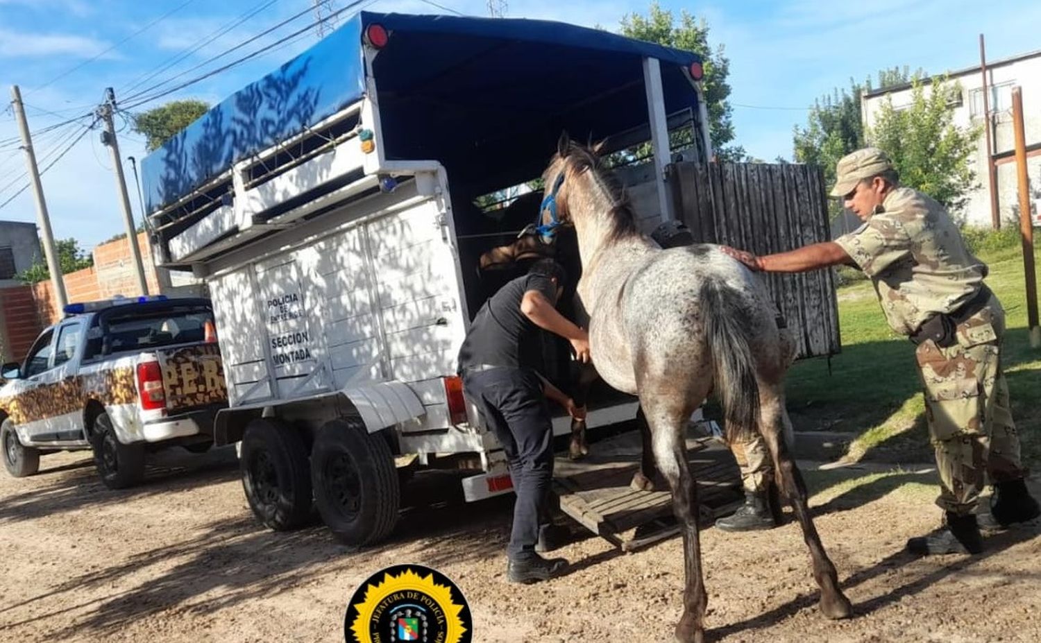 Han secuestrado 16 animales sueltos en las dos primeras semanas del año