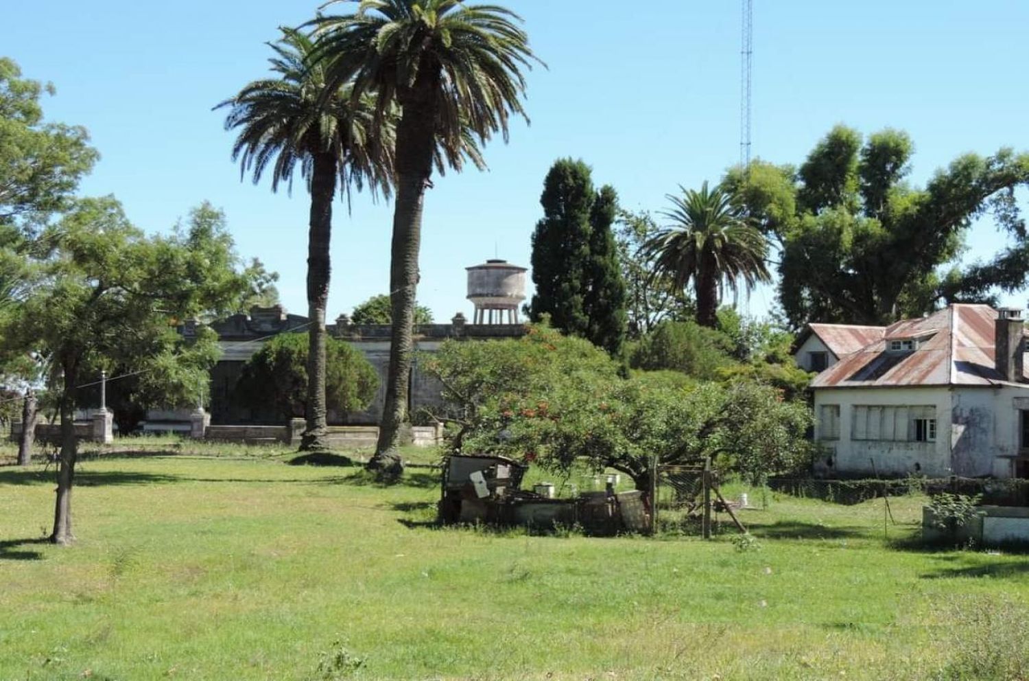 Mazaruca y la vigencia del poder de Gualtieri