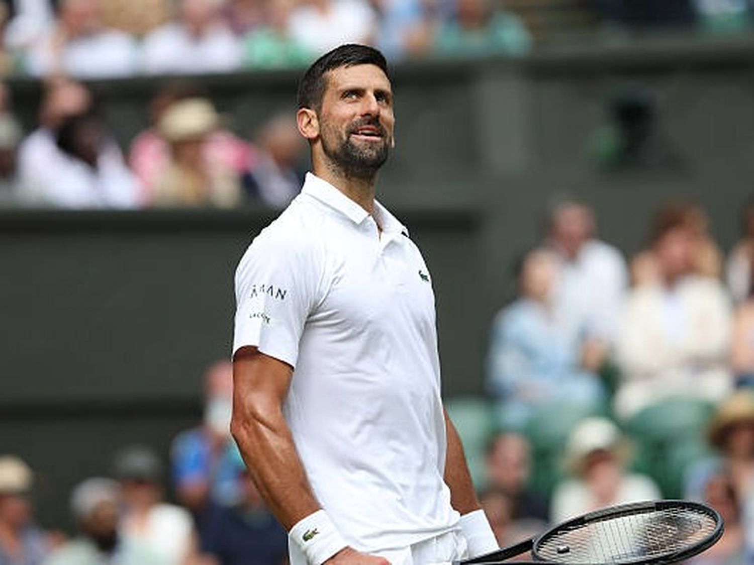 Djokovic-Sinner, una de las semifinales