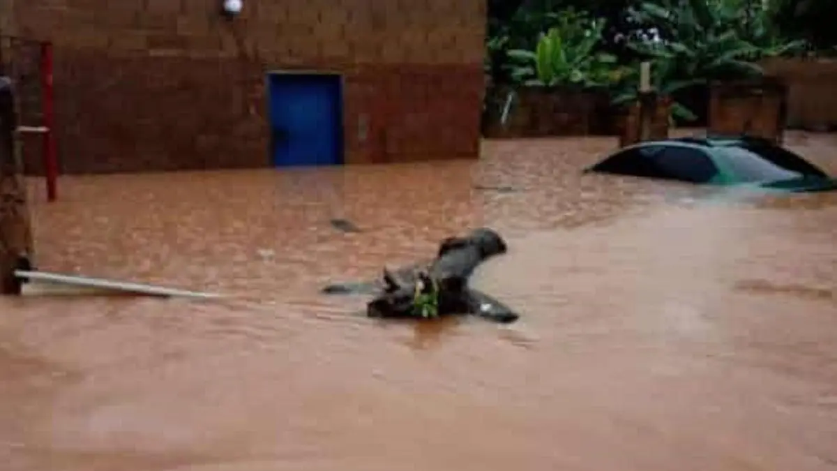 ¡INAMEH DECLARA ALERTA! LLUVIAS INTENSAS afectan a unas 100 viviendas en Anzoátegui