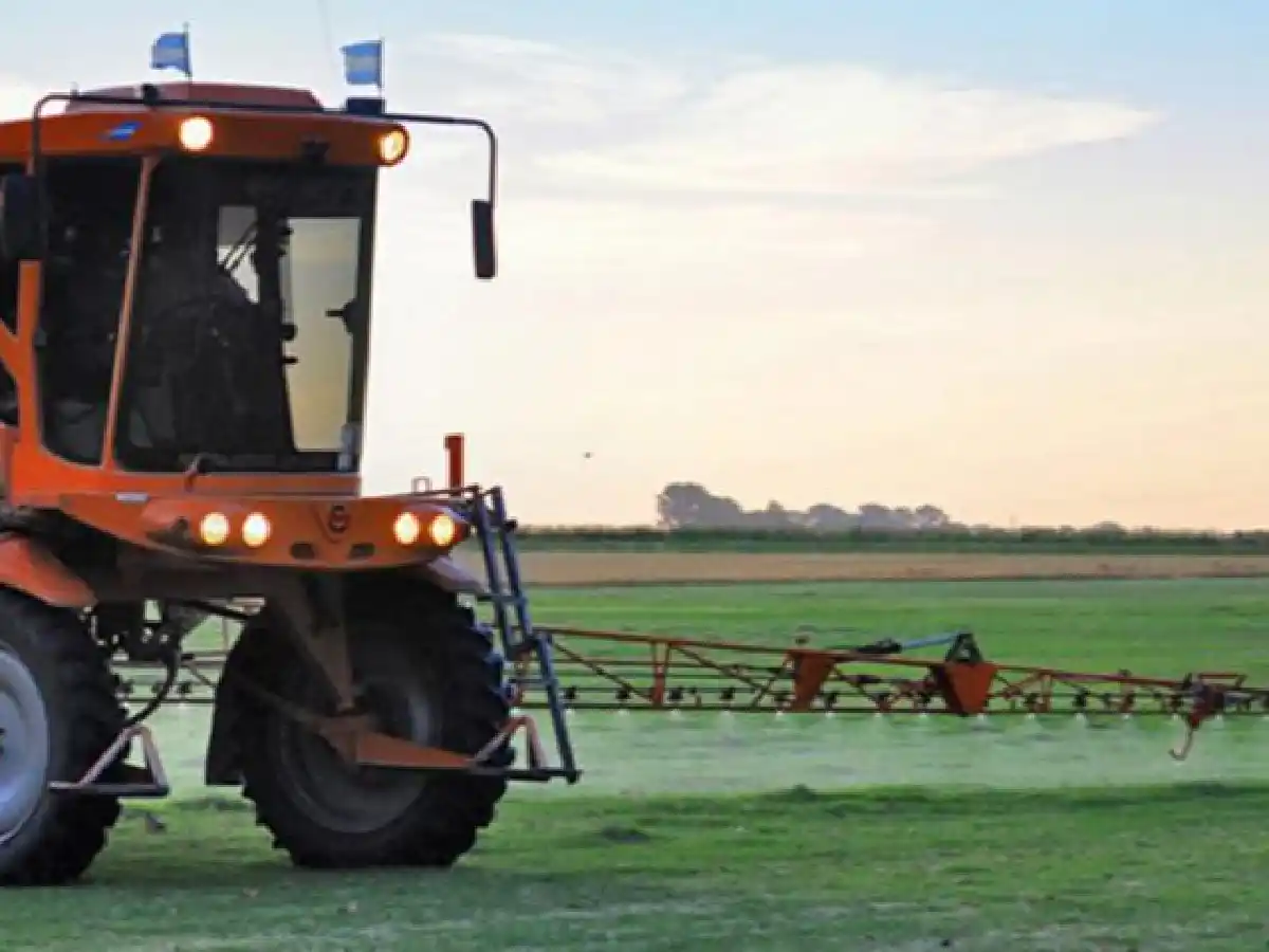 Los delitos ambientales en el nuevo Código Penal: Cartez teme una “cacería de brujas”