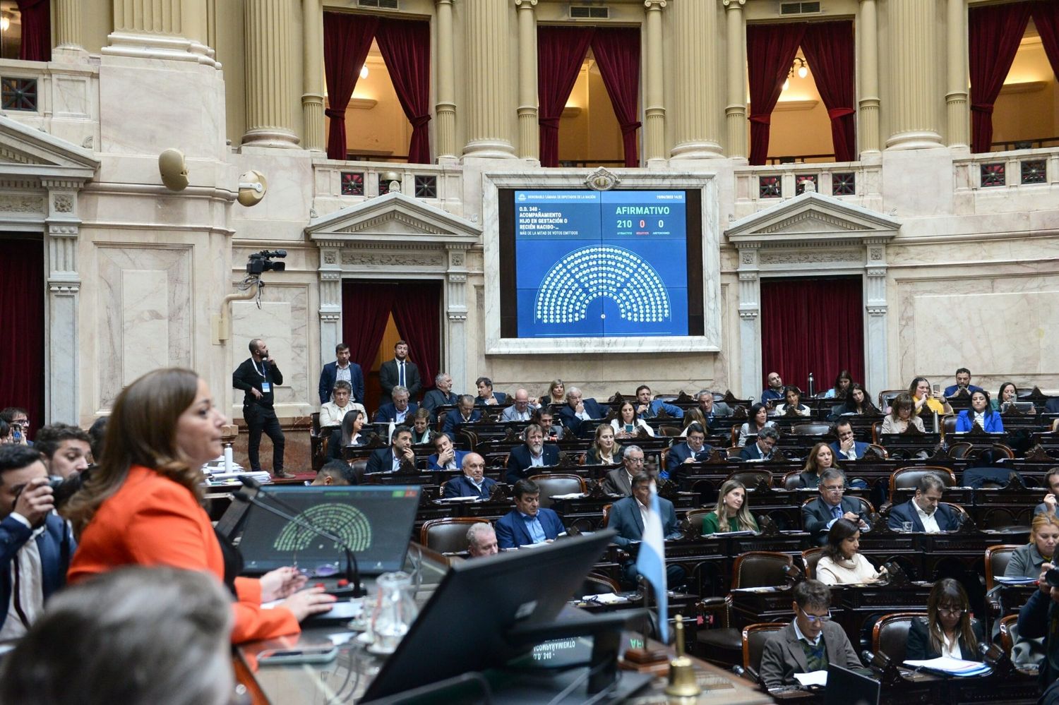 Diputados convirtió en ley el proyecto de diagnóstico humanizado del Síndrome de Down