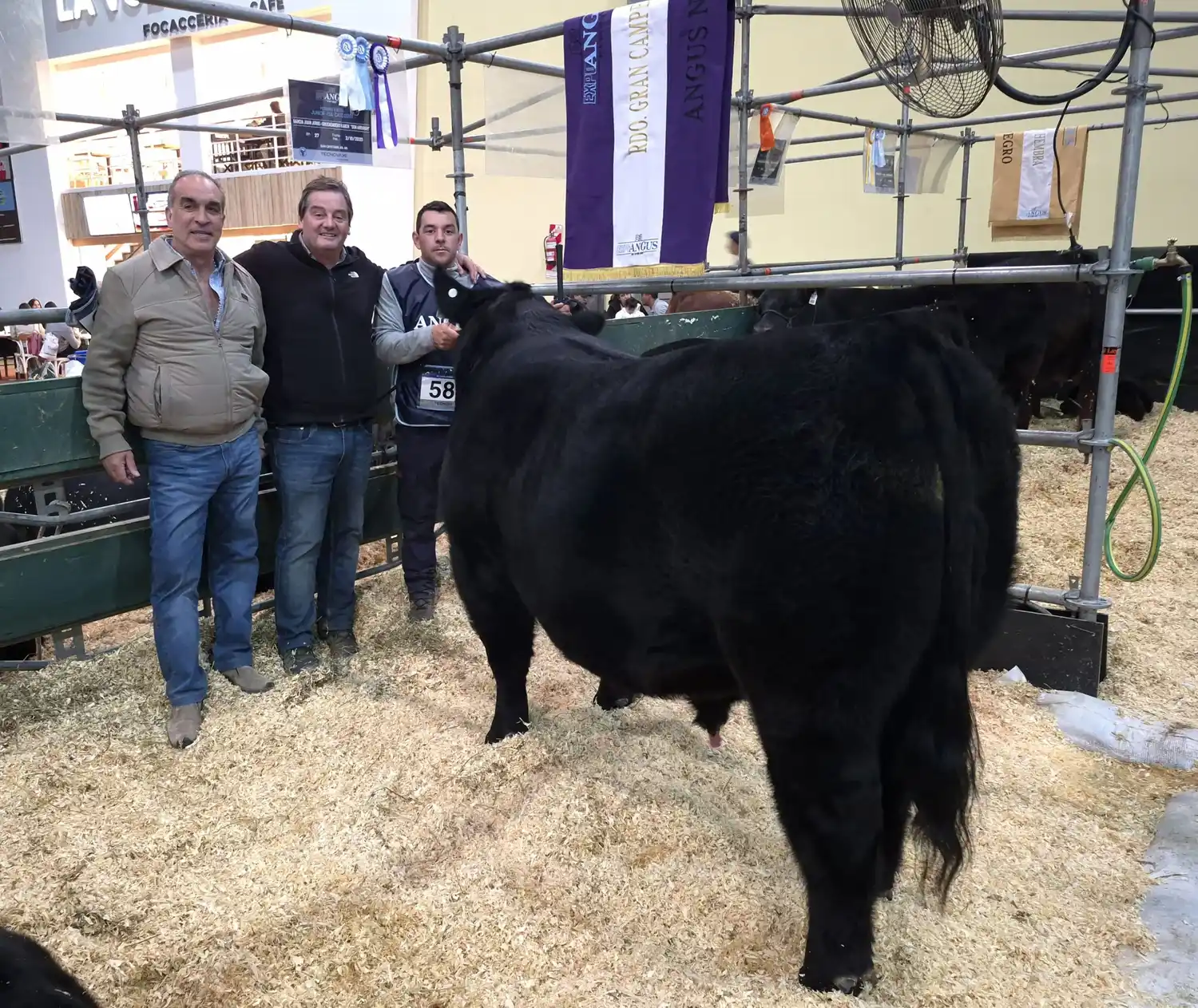 La Mercedes Pilar descubrió Américo en el Otoño de Angus