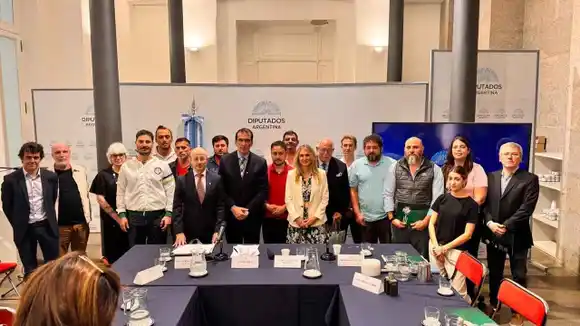 La energía nuclear en la transición energética: un pilar estratégico para la Argentina