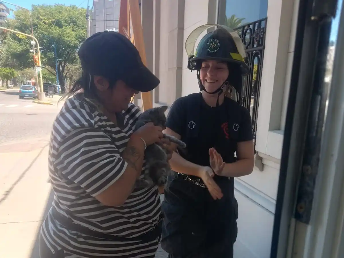 Bomberos Zapadores rescataron a un gato atrapado en una tubería de desagüe