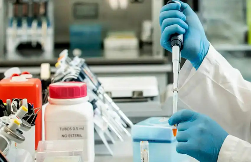 Publican en una revista de The Lancet el estudio argentino sobre suero equino contra el coronavirus