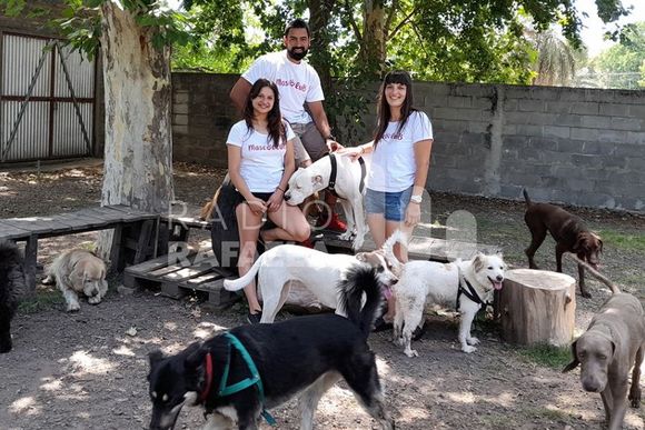 Fin de año y las vacaciones: ¿cómo cuidar a nuestras mascotas?