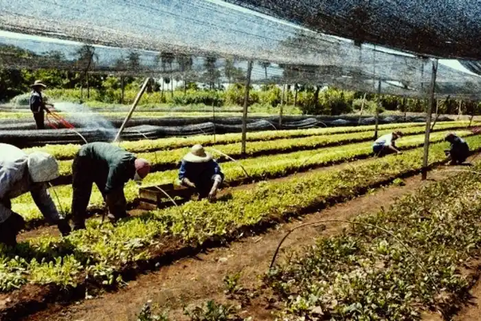 La reforma laboral que impulsa el gobierno incluye varios cambios en la actual Ley de Trabajo Agrario