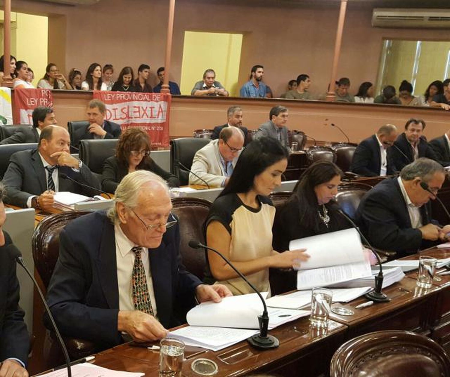 Es ley la adhesión de Entre Ríos a la
norma nacional para atención de la dislexia
