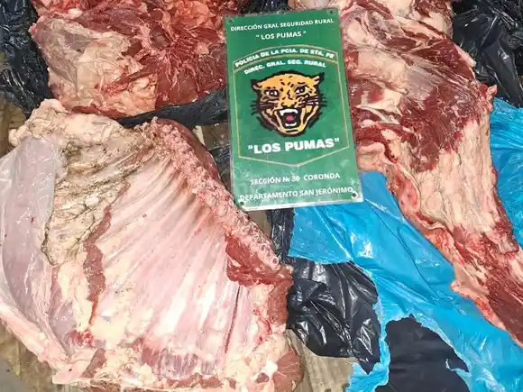 Lo atraparon con más de 60kg de carne faenada en una isla de Coronda
