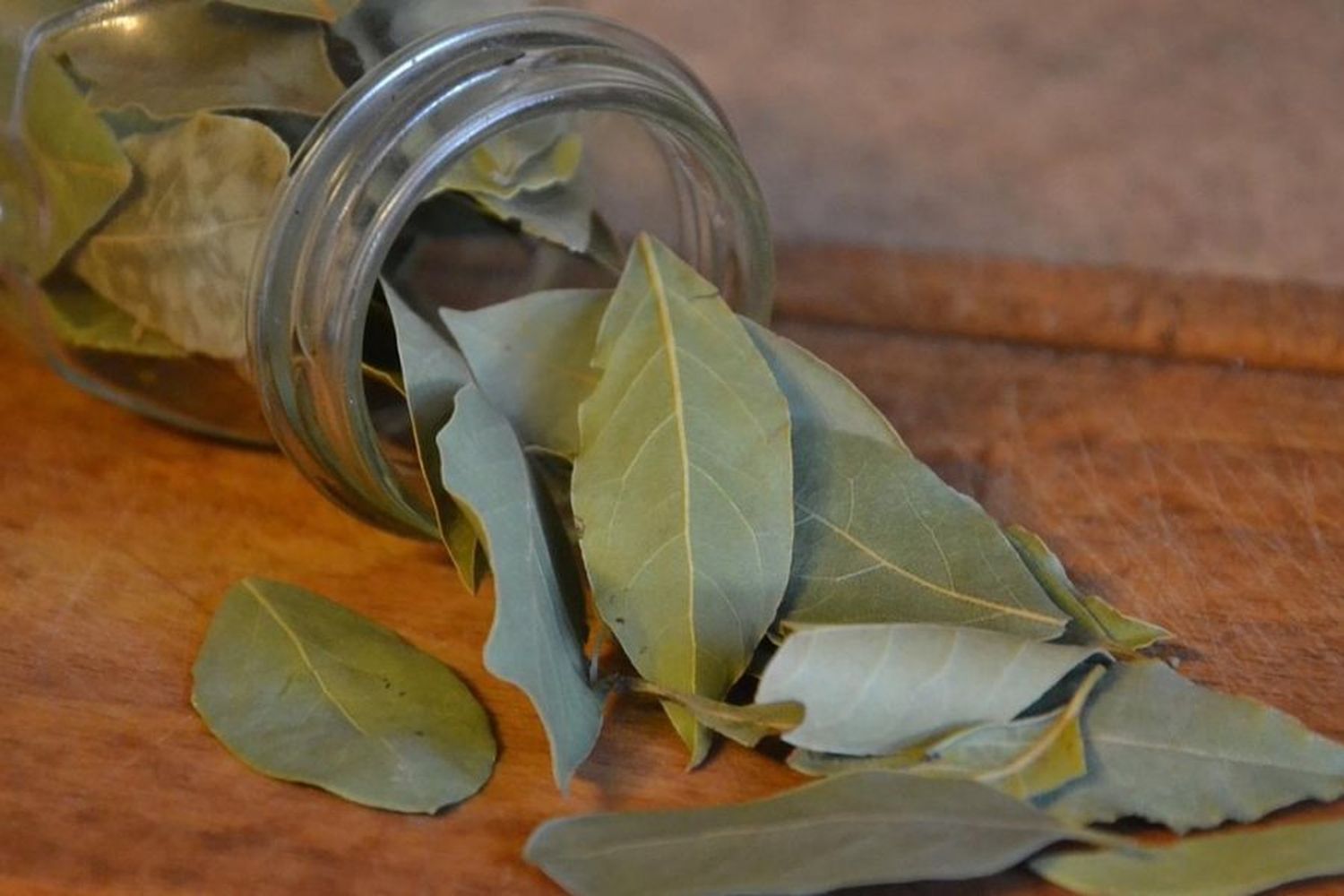 ¿Por qué colocar una hoja de laurel detrás de la puerta atrae buenas energías?