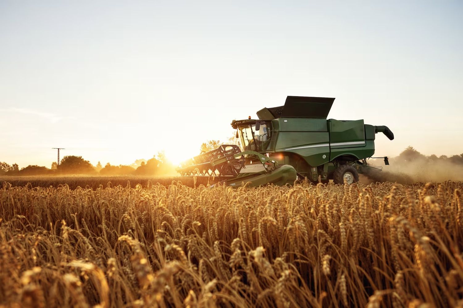 Jóvenes y el futuro del agro: Una investigación reveladora