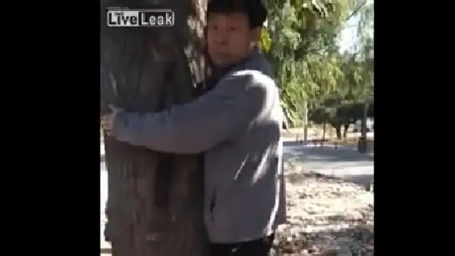 Captan a un hombre siendo demasiado cariñoso con un árbol