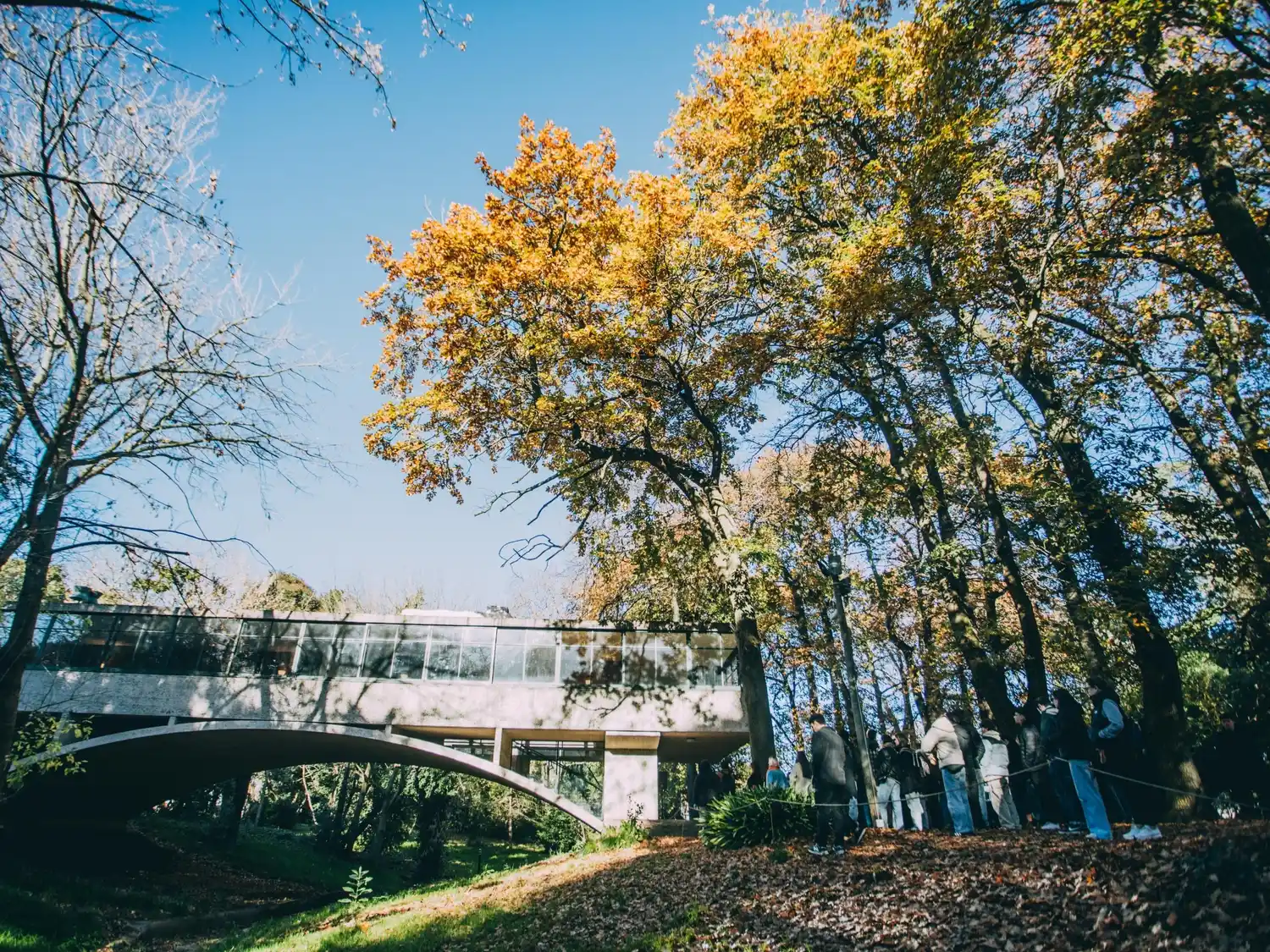 El parque del museo permanece abierto de lunes a viernes de 8.30 a 14.30.
